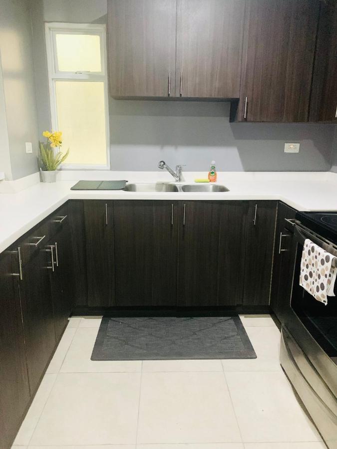 Odyssey On The 5Th - Exquisite Luxury Apt Kingston Esterno foto