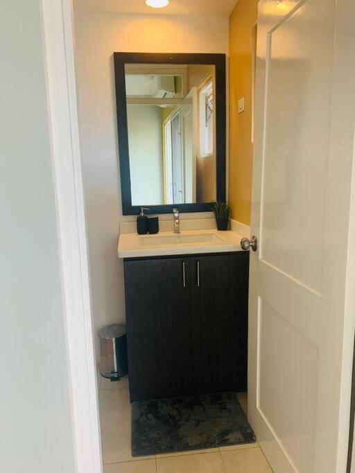 Odyssey On The 5Th - Exquisite Luxury Apt Kingston Esterno foto